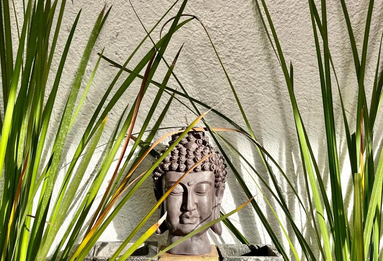 Urban Jungle Collection Apartment Cancun