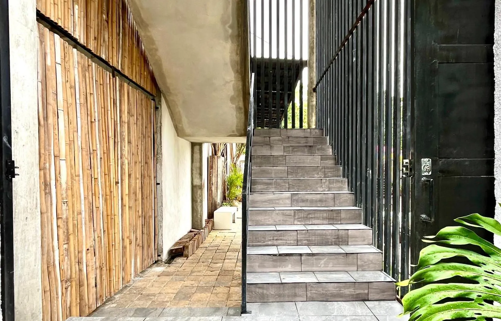 Urban Jungle Collection Apartment Cancun Mexico