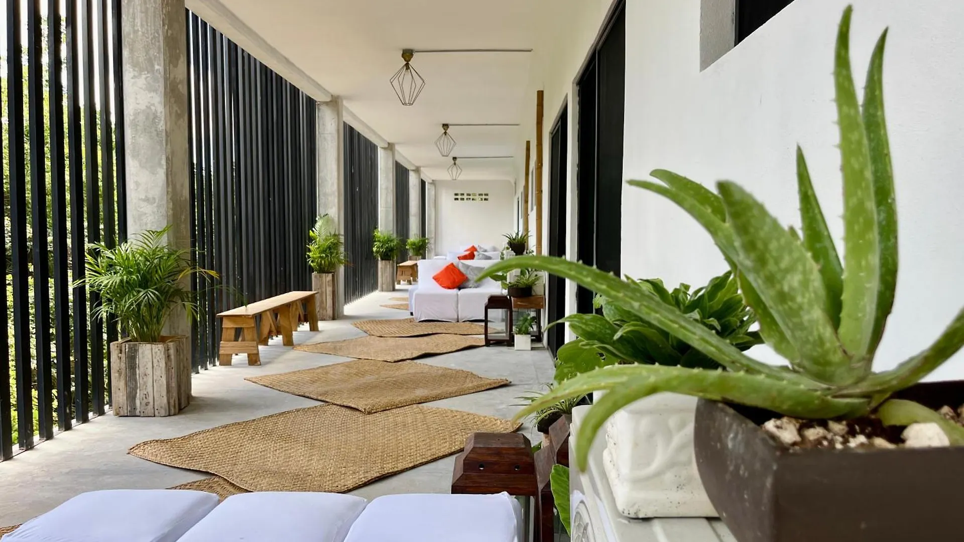 Urban Jungle Collection Apartment Cancun