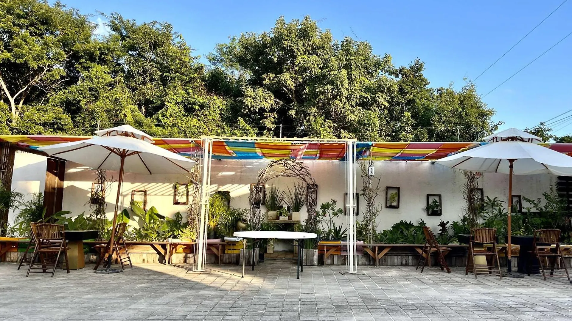 Urban Jungle Collection Apartment Cancun