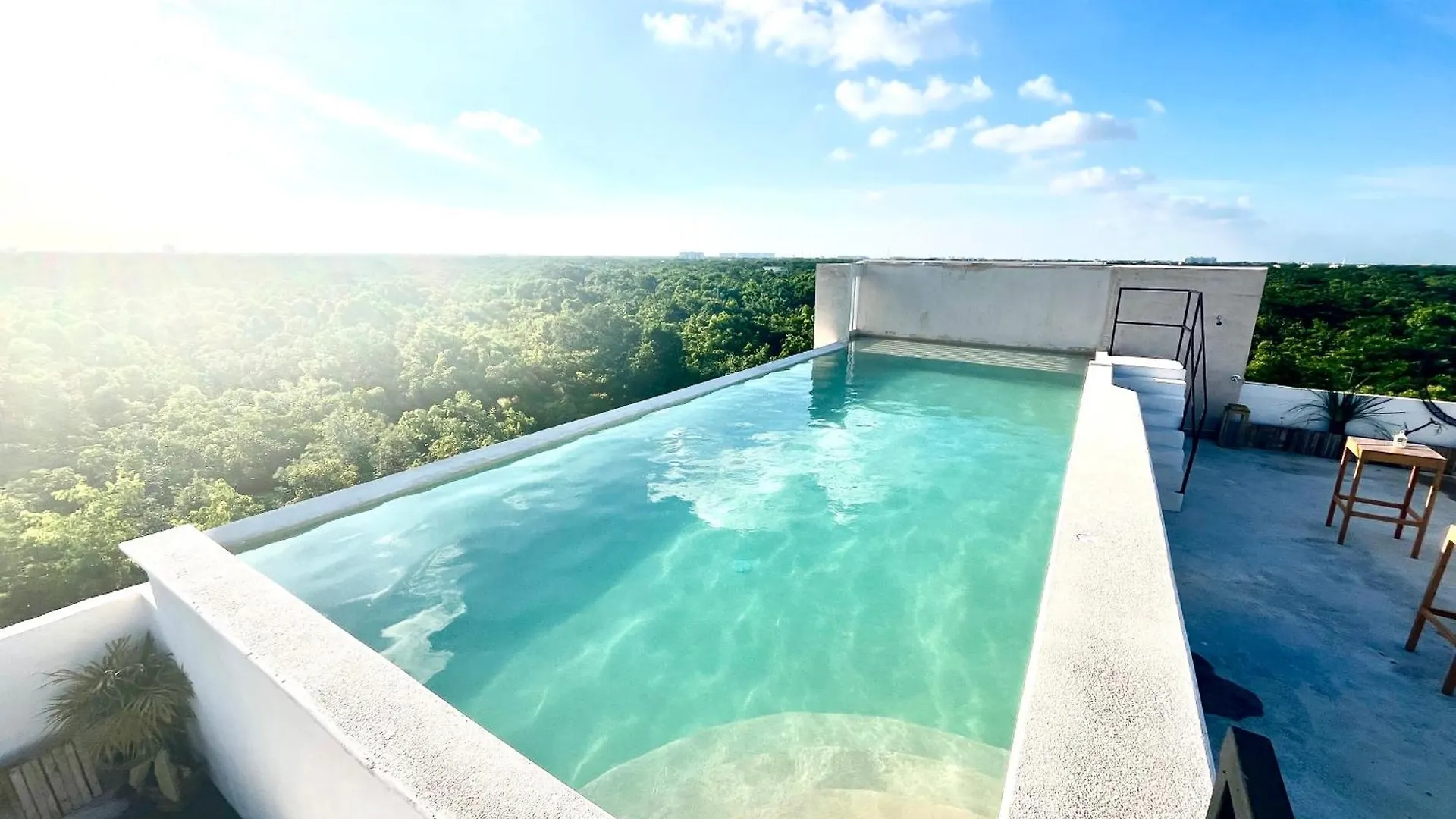 Urban Jungle Collection Apartment Cancun Mexico