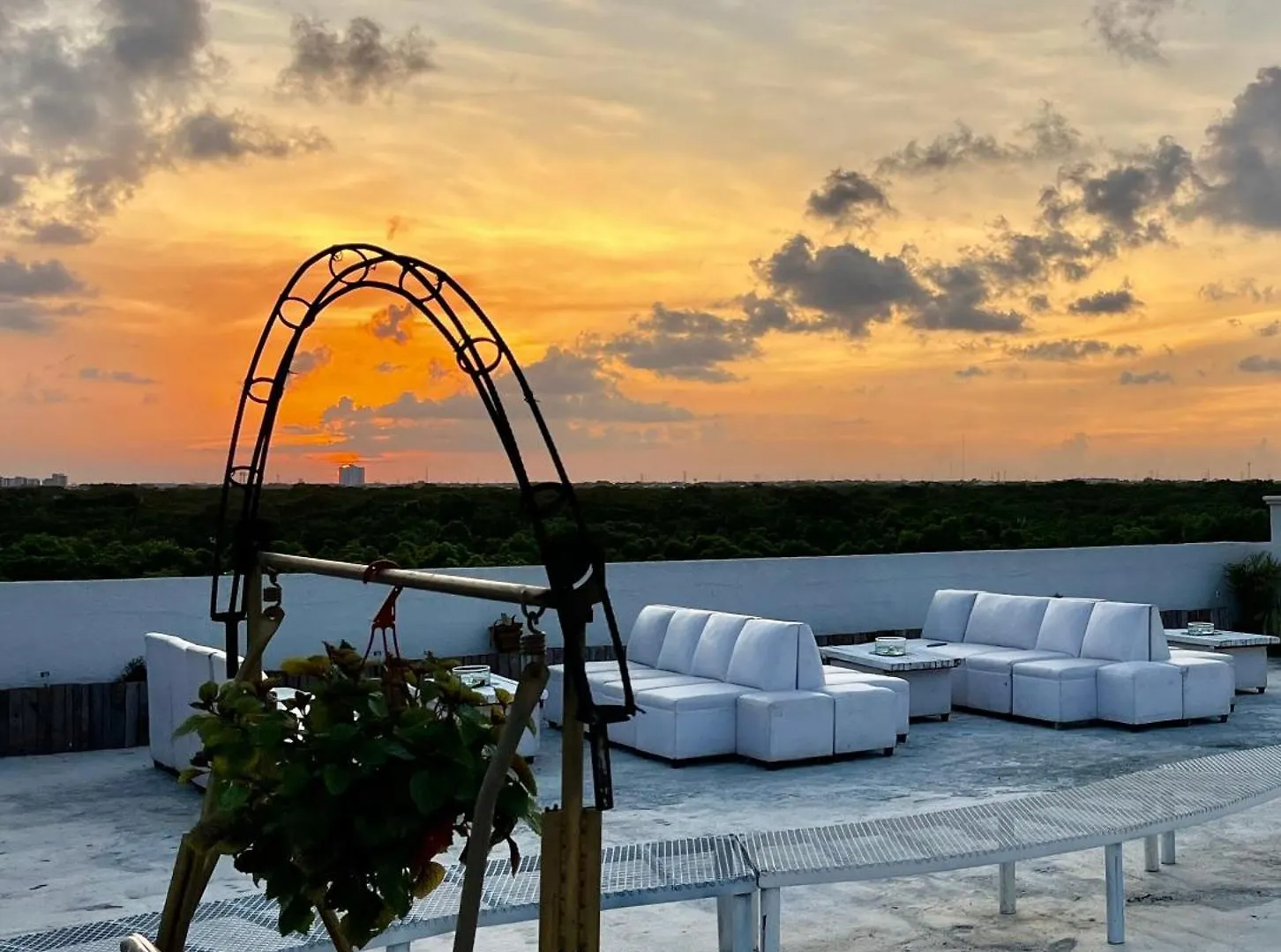 Urban Jungle Collection Apartment Cancun
