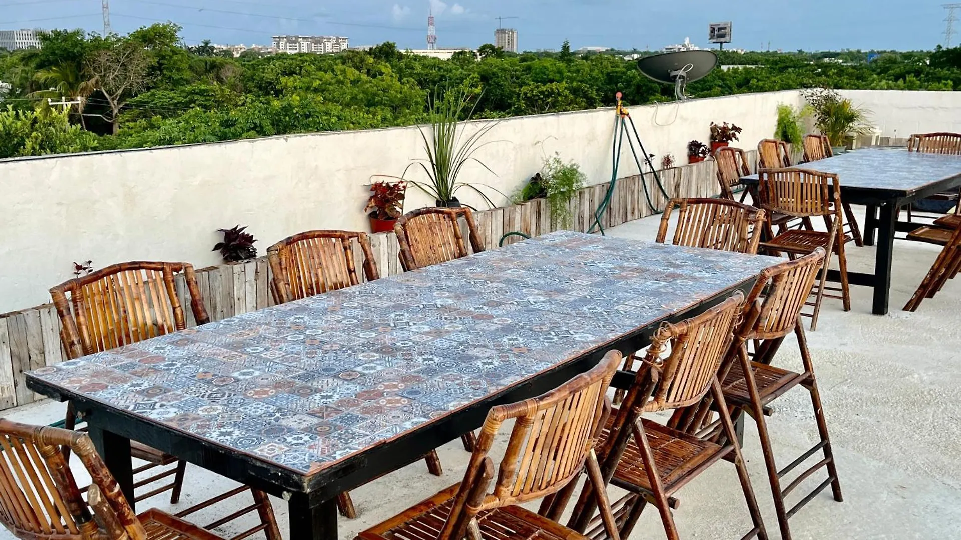 Urban Jungle Collection Apartment Cancun